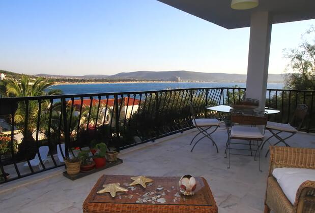 Limonlu Ev Ardıç - Görsel 32