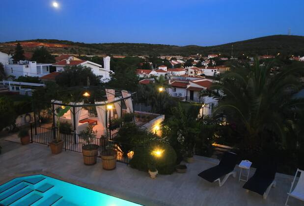 Limonlu Ev Ardıç - Görsel 3