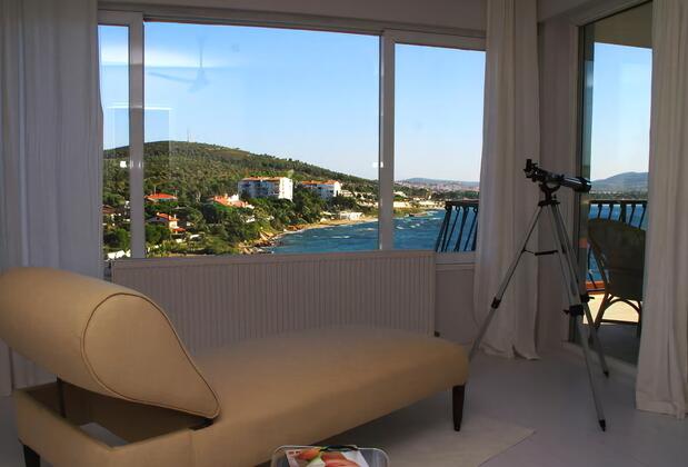 Limonlu Ev Ardıç - Görsel 35