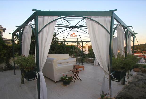 Limonlu Ev Ardıç - Görsel 38