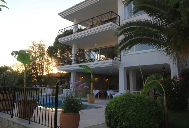 Limonlu Ev Ardıç - Görsel 4