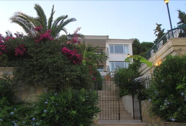 Limonlu Ev Ardıç - Görsel 5