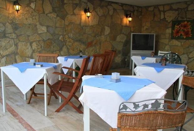 Limonlu Ev Ardıç - Görsel 42