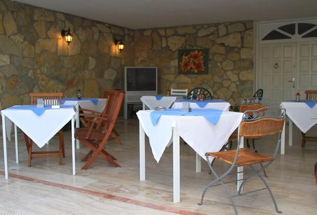 Limonlu Ev Ardıç - Görsel 39