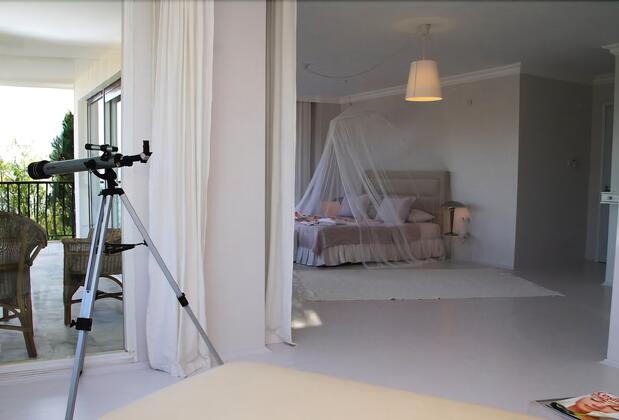 Limonlu Ev Ardıç - Görsel 15