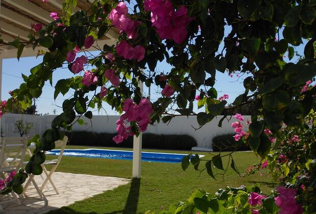 Manta Alacati - Görsel 16