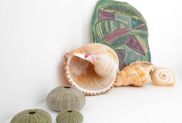 Manta Alacati - Görsel 24