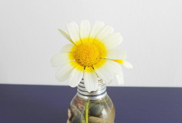 Manta Alacati - Görsel 49