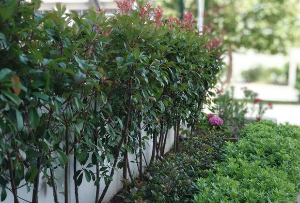 Çiçek Apart Otel - Görsel 6