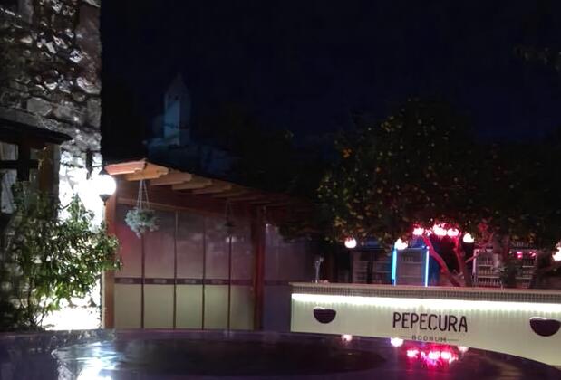 Pepeçura Bodrum Otel - Görsel 5