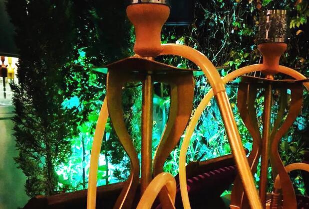 Pepeçura Bodrum Otel - Görsel 6