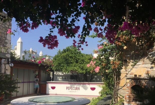 Pepeçura Bodrum Otel - Görsel 7