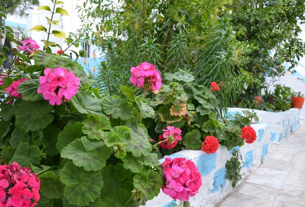 Duru Butik Otel - Görsel 5