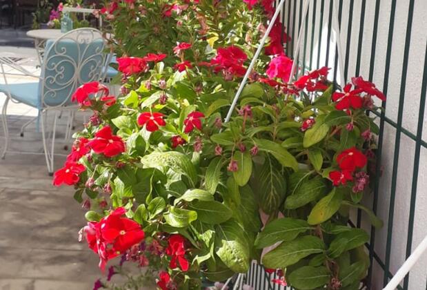 Duru Butik Otel - Görsel 4