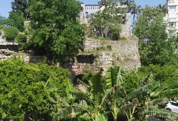 Otel Wood House - Görsel 3