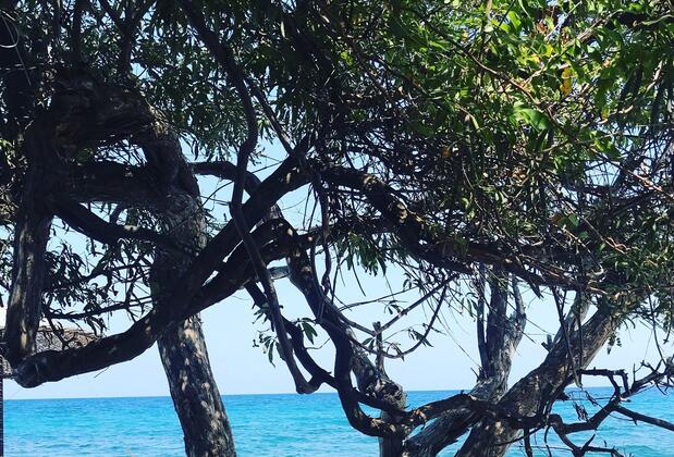 Roza Villas - Görsel 13