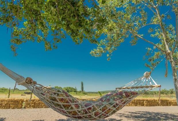 Sural Çiftliği - Görsel 3