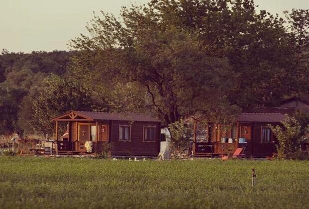 Sural Çiftliği - Görsel 7