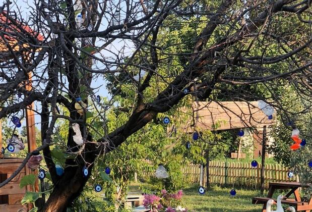 Sural Çiftliği - Görsel 19