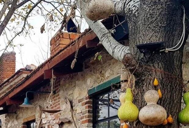 Sural Çiftliği - Görsel 20