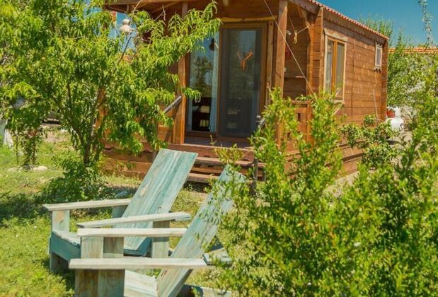 Sural Çiftliği - Görsel 22