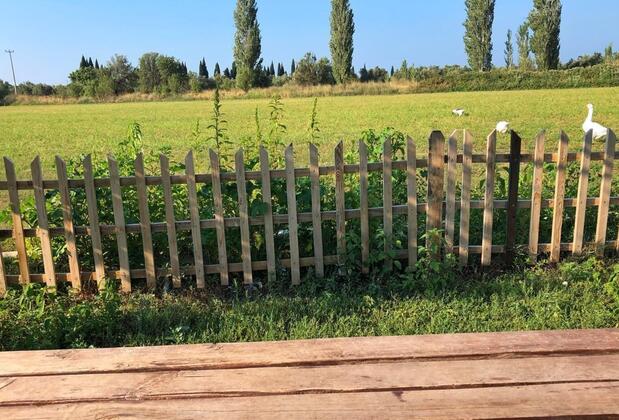 Sural Çiftliği - Görsel 23