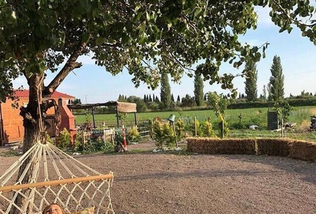 Sural Çiftliği - Görsel 24