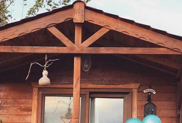 Sural Çiftliği - Görsel 28