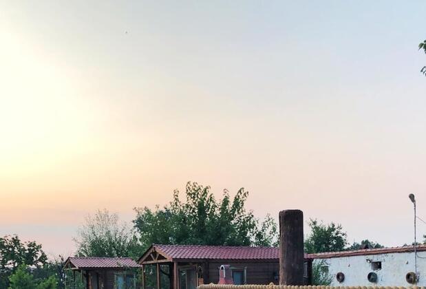 Sural Çiftliği - Görsel 35