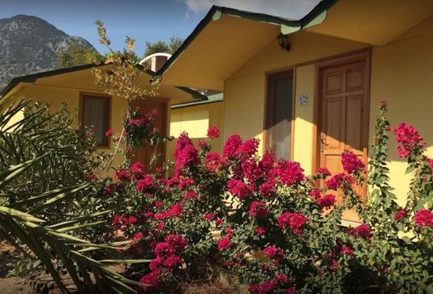 Felix Bungalow Otel - Görsel 9