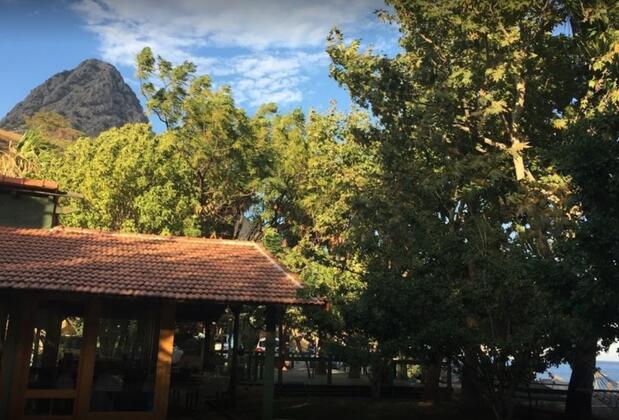 Felix Bungalow Otel - Görsel 5