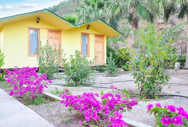 Felix Bungalow Otel - Görsel 3