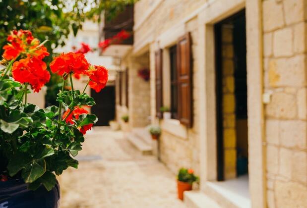 Melon Alaçatı - Görsel 5