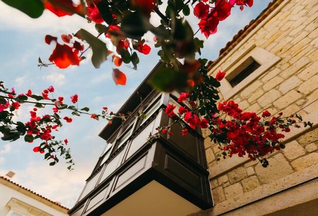 Melon Alaçatı - Görsel 3