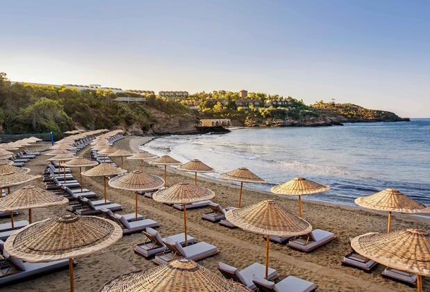 Club Marvy - Görsel 5