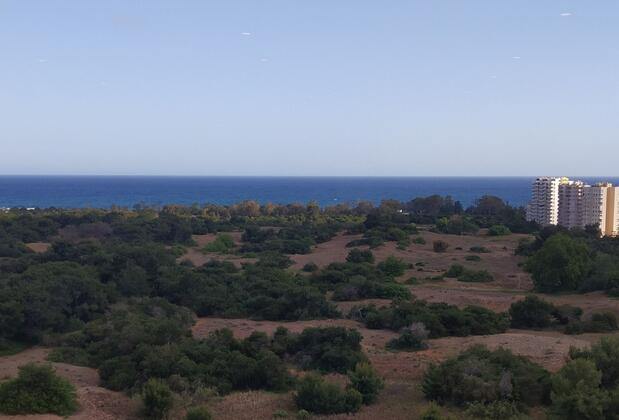 242 Gold Tower - Görsel 14