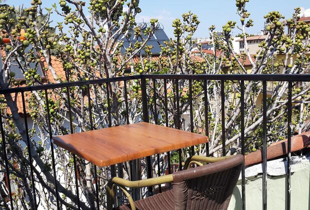 Camel Apart - Görsel 2