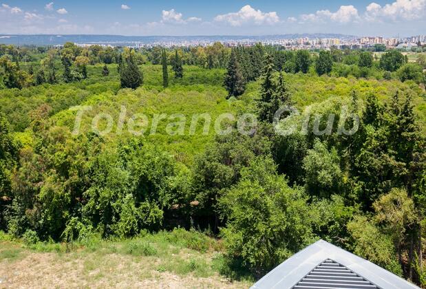 Meyra Palace - Görsel 13