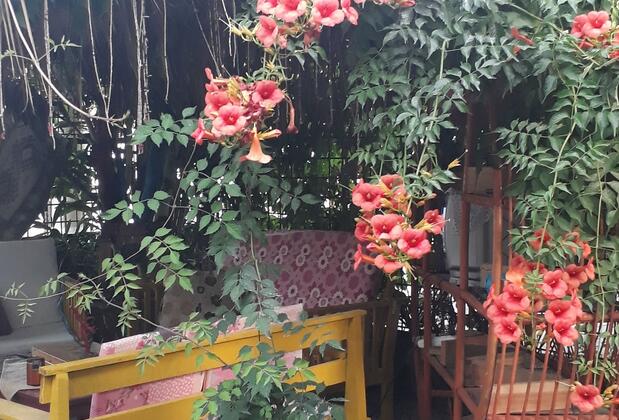 Side Tuana Butik Otel - Görsel 11