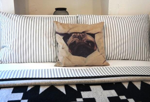 Pug Rooms - Görsel 7