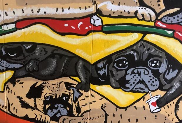 Pug Rooms - Görsel 3