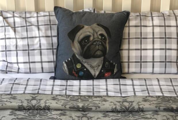 Pug Rooms - Görsel 9