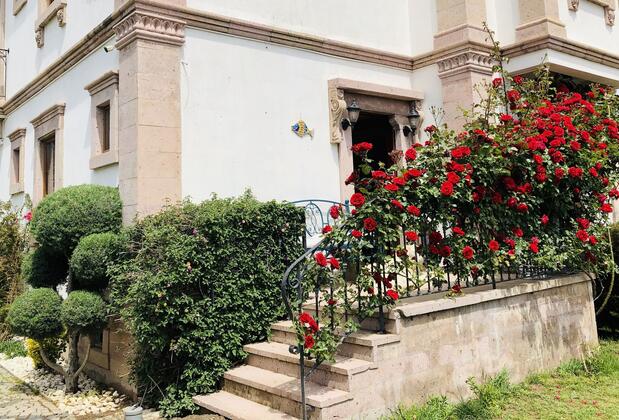 Cunda Vrodi Otel - Görsel 16