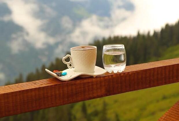 Hozboncuk Dağ Evi - Görsel 5