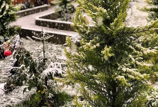 Tuva Villa's - Görsel 7