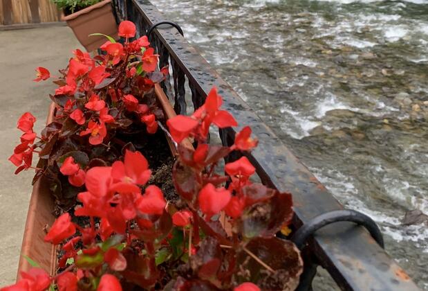 Tuva Villa's - Görsel 37