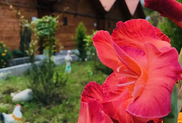 Tuva Villa's - Görsel 10