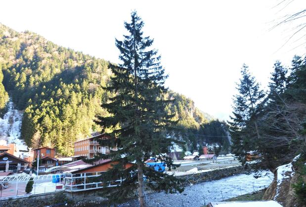 Çam Motel - Görsel 3