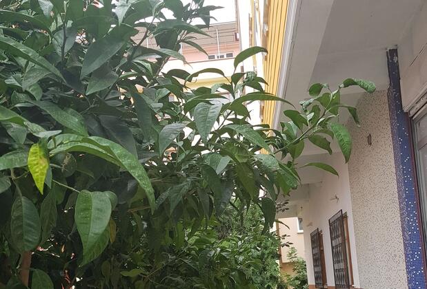 Alemara Apart - Görsel 4