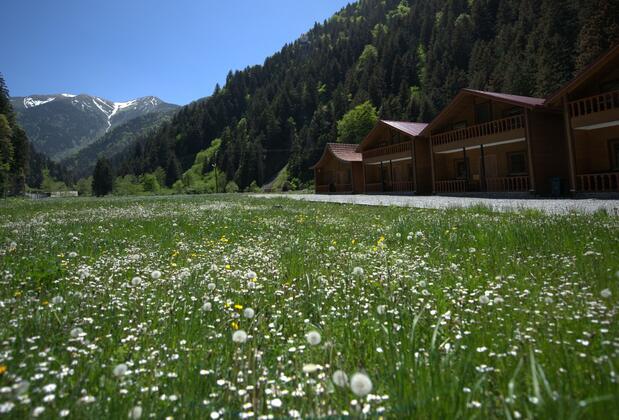 Yeşil Irmak Bungalow - Görsel 26